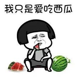 娱乐吃瓜的途径,跟随吃瓜群众，探寻明星幕后故事